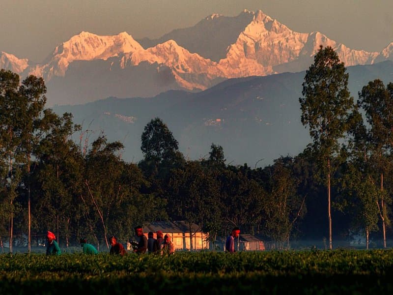 Darjeeling & Sikkim Himalayan Journey